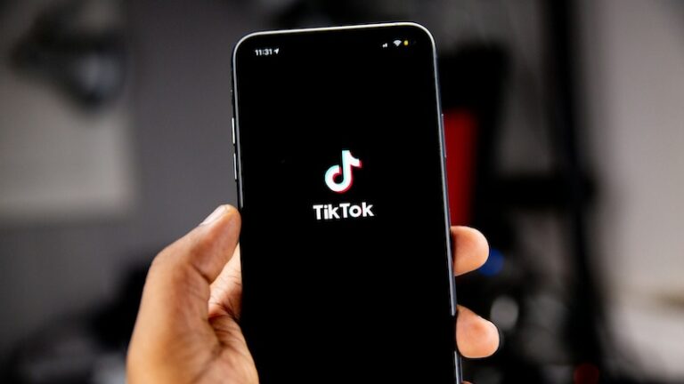 TikTok ist nicht Schuld am „Erfolg“ der AfD