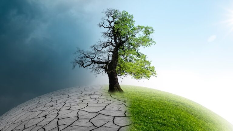Diese 10 Länder unternehmen am meisten gegen den Klimawandel