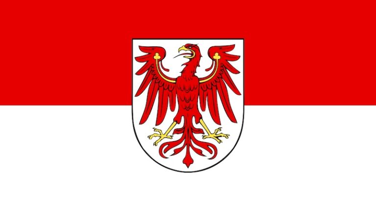 Landtagswahl Brandenburg 2024: Die Wahlprogramme im Vergleich