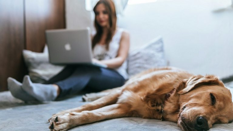Sind Mitarbeiter, die zu Hause arbeiten Söldner?