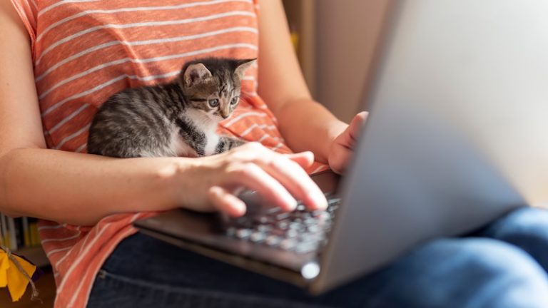 In diesen 10 Ländern arbeiten die meisten Menschen im Homeoffice